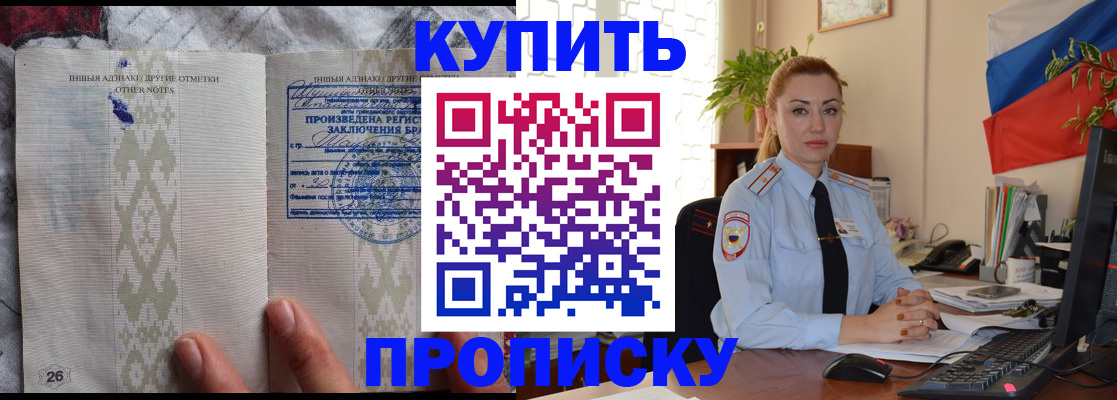 прописка поиск в Пестово